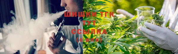 дживик Заводоуковск