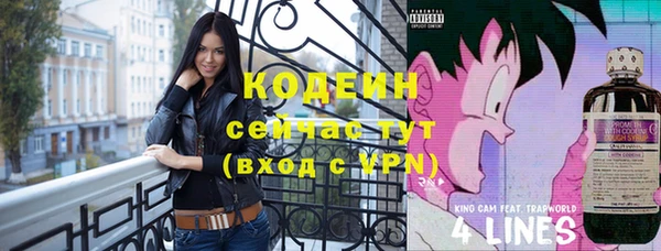 дживик Заводоуковск